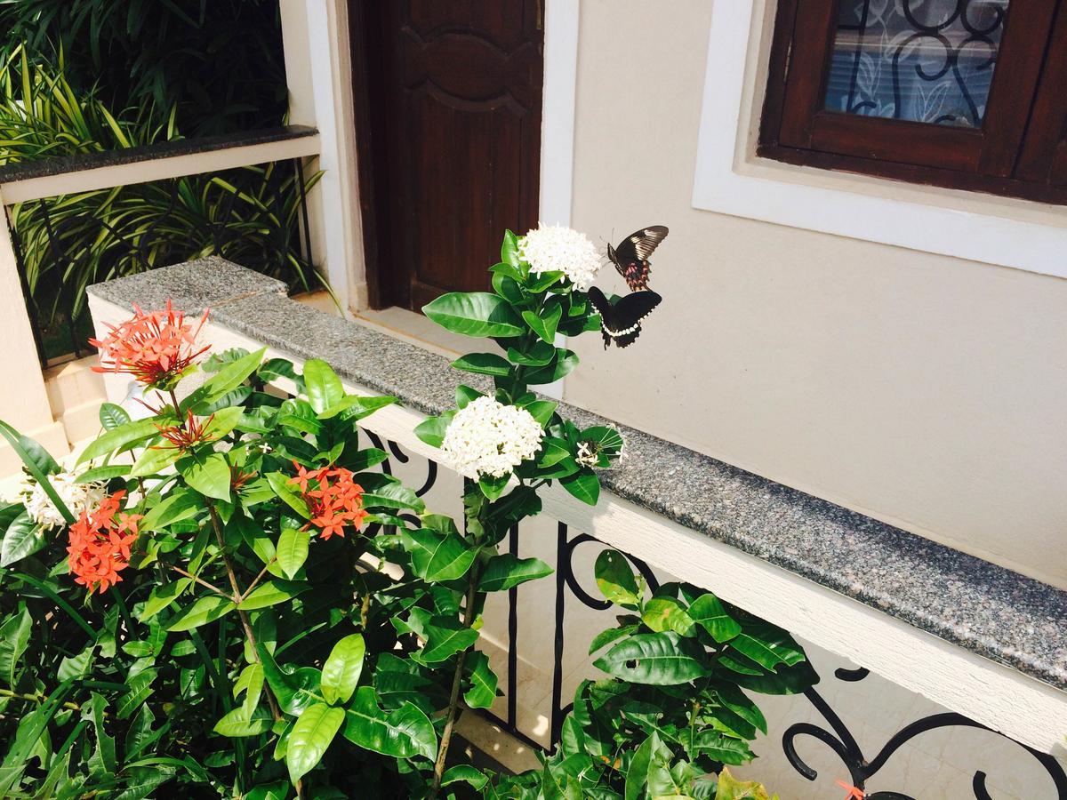 Jacks Resort Vagator Dış mekan fotoğraf